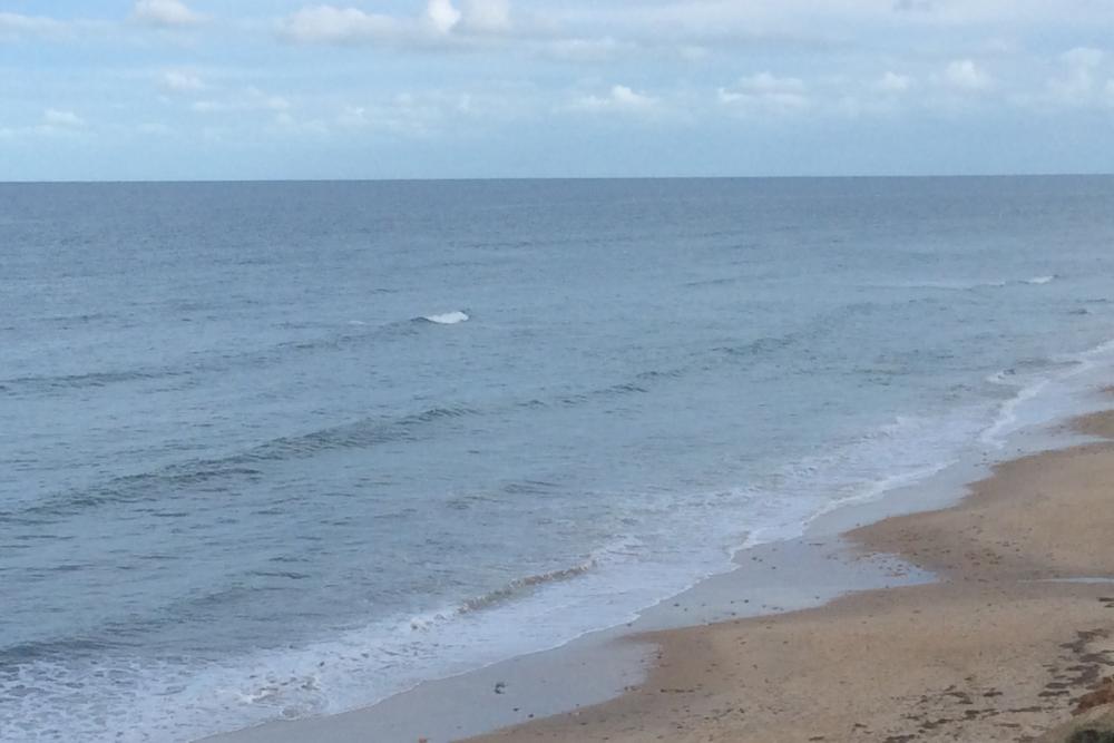 Mid Coast Detailed Surf Report, Surf Photos, Live Winds, Tides and