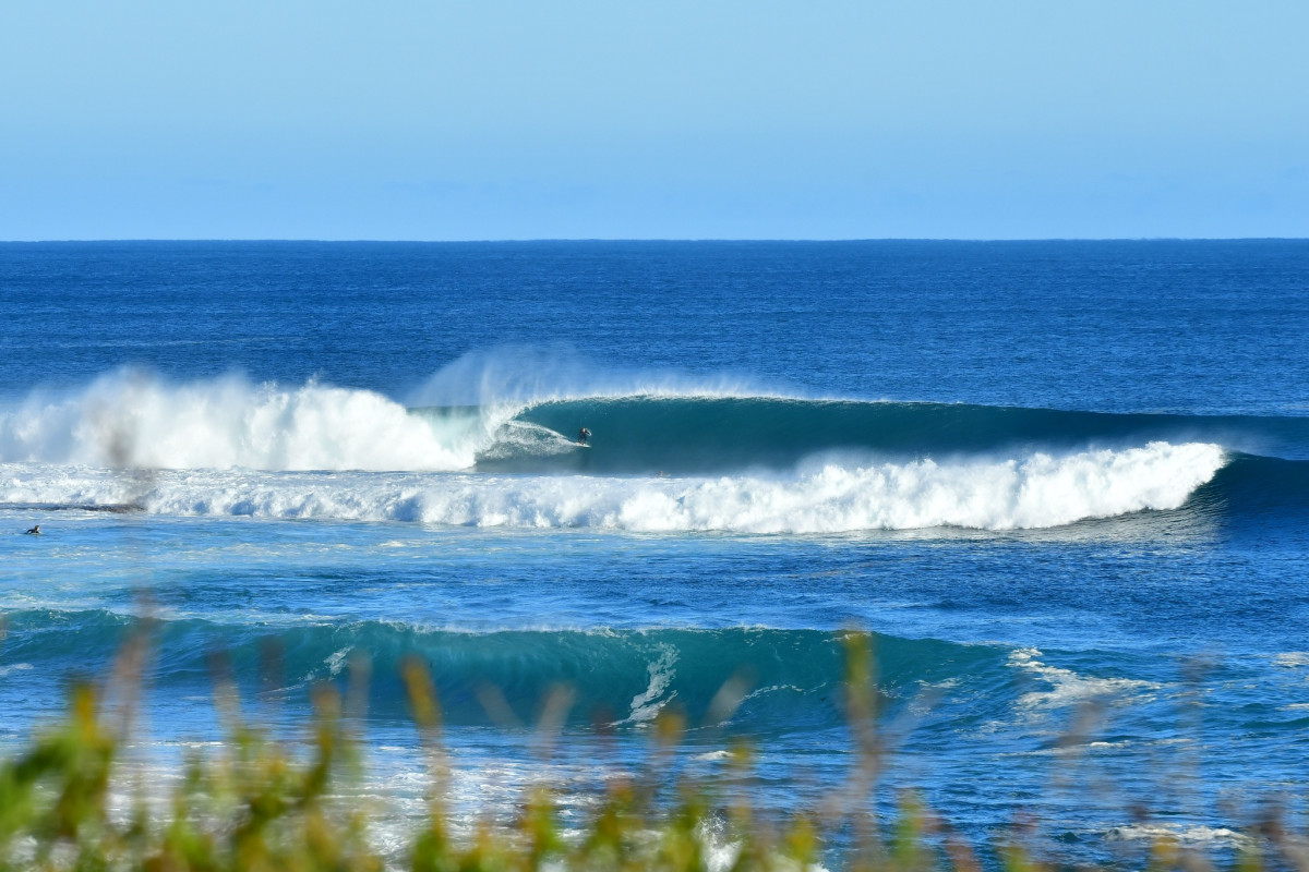 Central coast swellnet hotsell