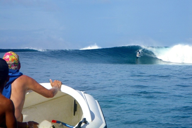 Coral, Surfers G Art Wiki