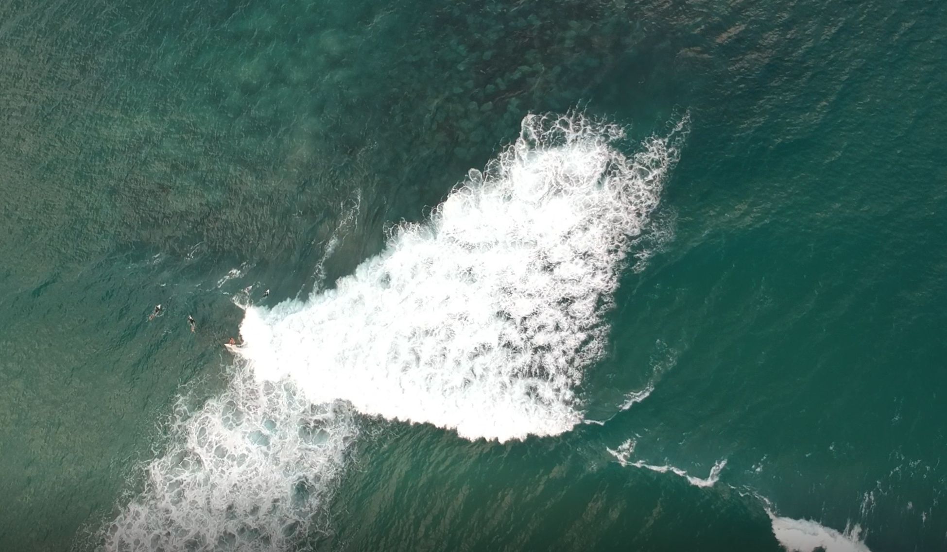 First impressions at the Palm Beach Artificial Reef | Swellnet Dispatch |  Swellnet