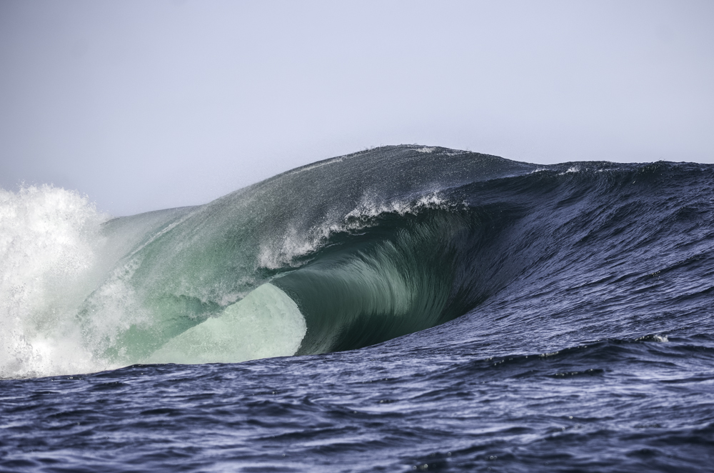 The fatal shore | Swellnet