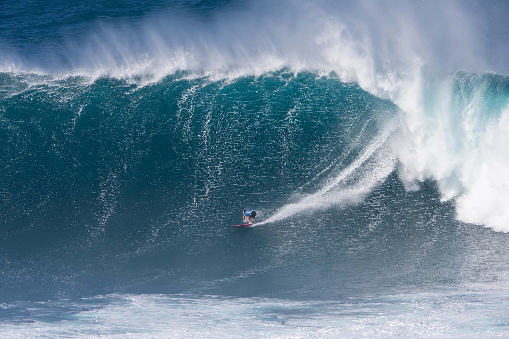 billykemper_heff_d2u4417jaws16heff_n.jpg