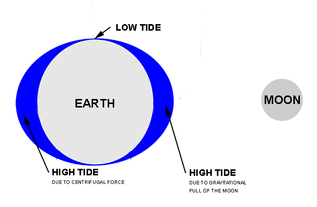 Timaru Tide Chart