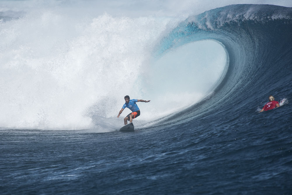 floresfijipro15sr1062.jpg