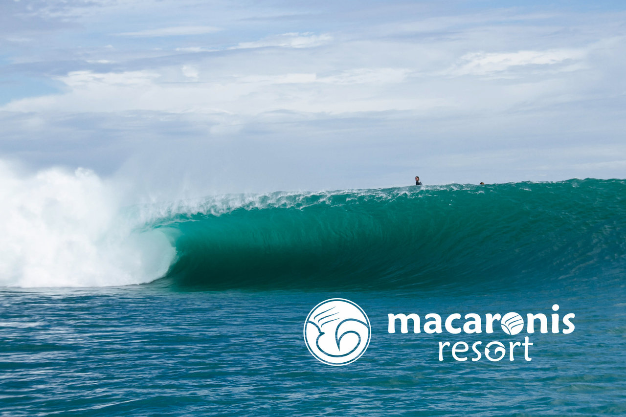 macaronis-august-mayhem.jpg