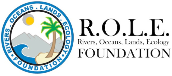 role-horizontal-logo.jpg