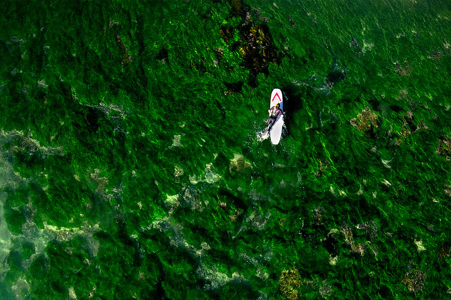shallow_reef.jpg