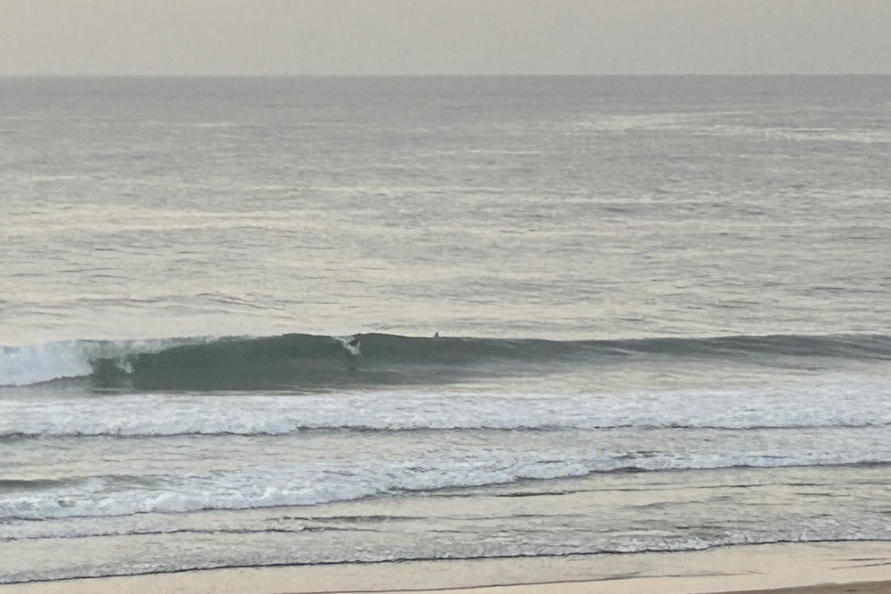 Central coast swellnet sale