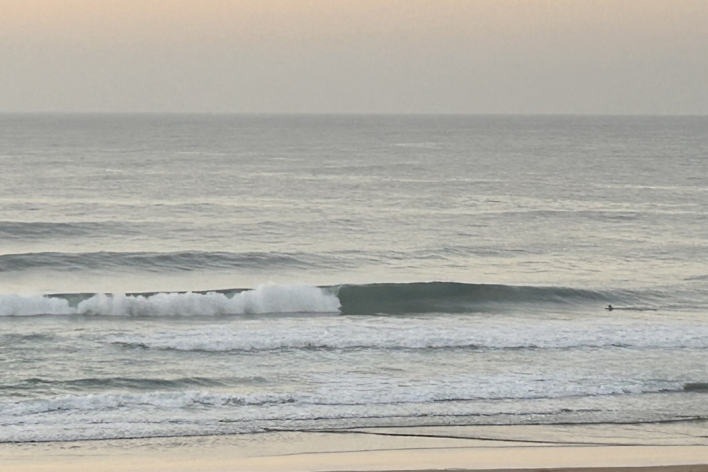 Bondi swellnet hot sale