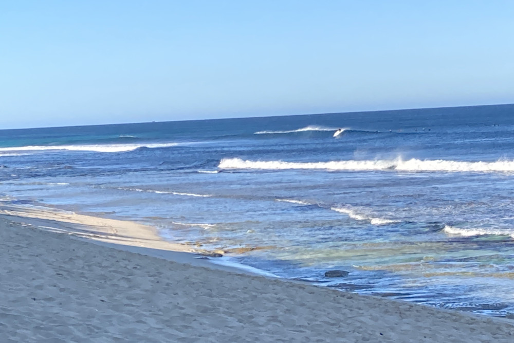 Bondi swellnet shop