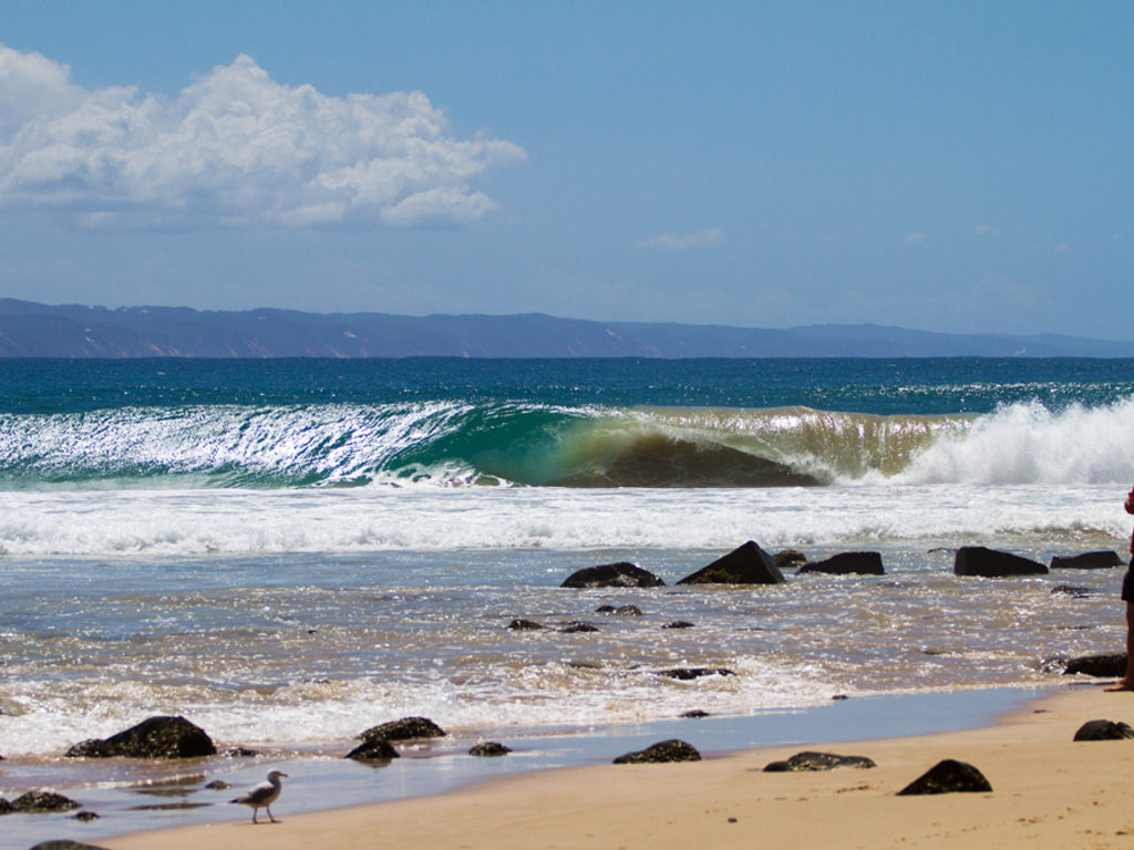 Swellnet noosa