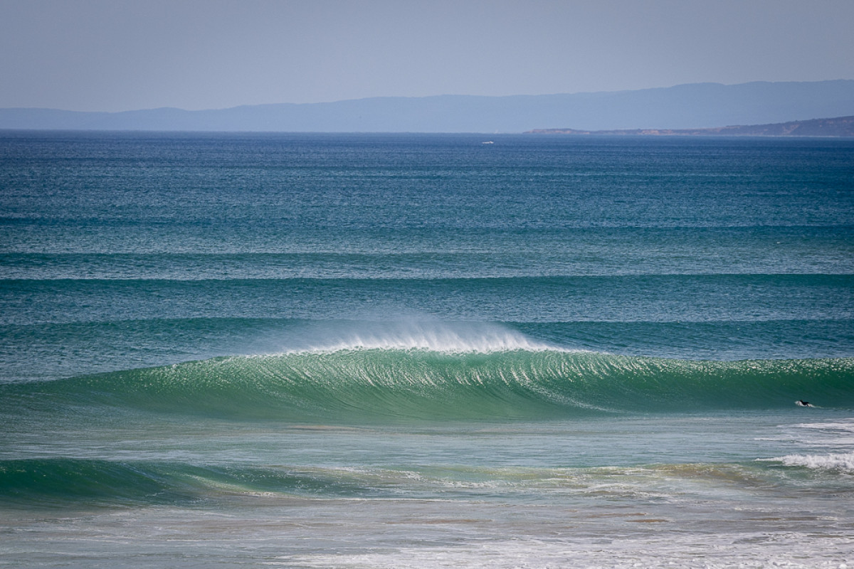 Bondi swellnet deals