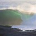 Cronullasurfer's picture