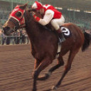 Seabiscuit's picture Seabiscuit's picture